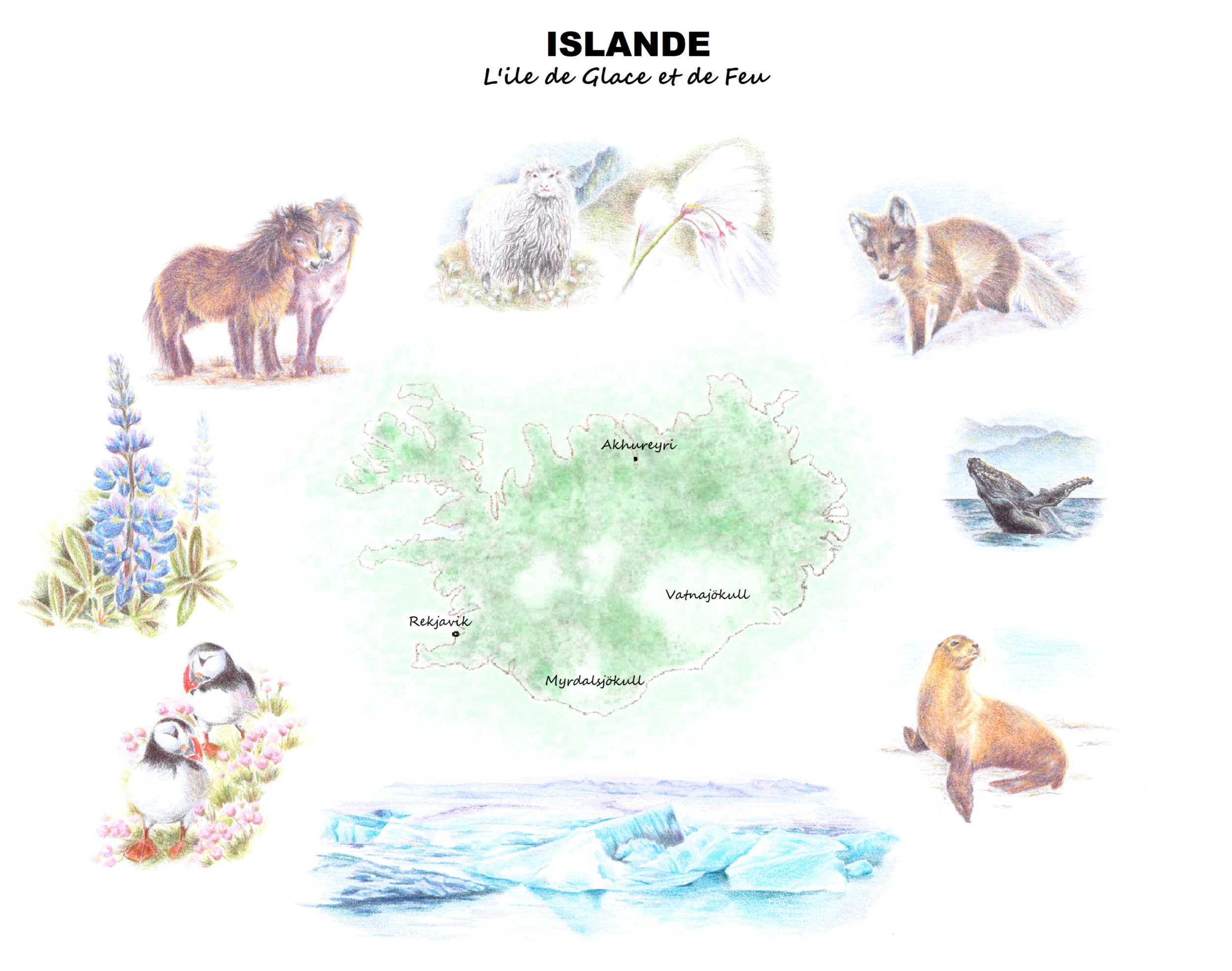 Islande - Carte illustrée